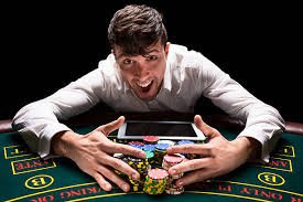 95bet cassino